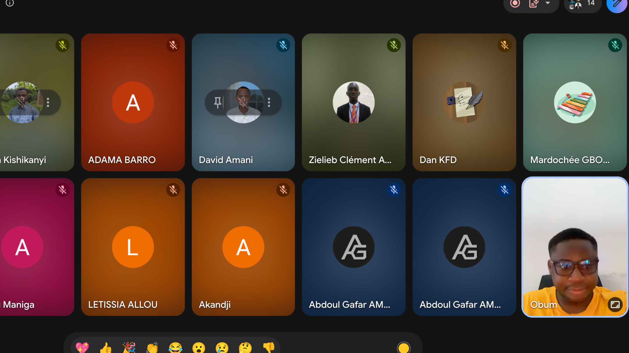 Google Meet Screenshot of Audience
